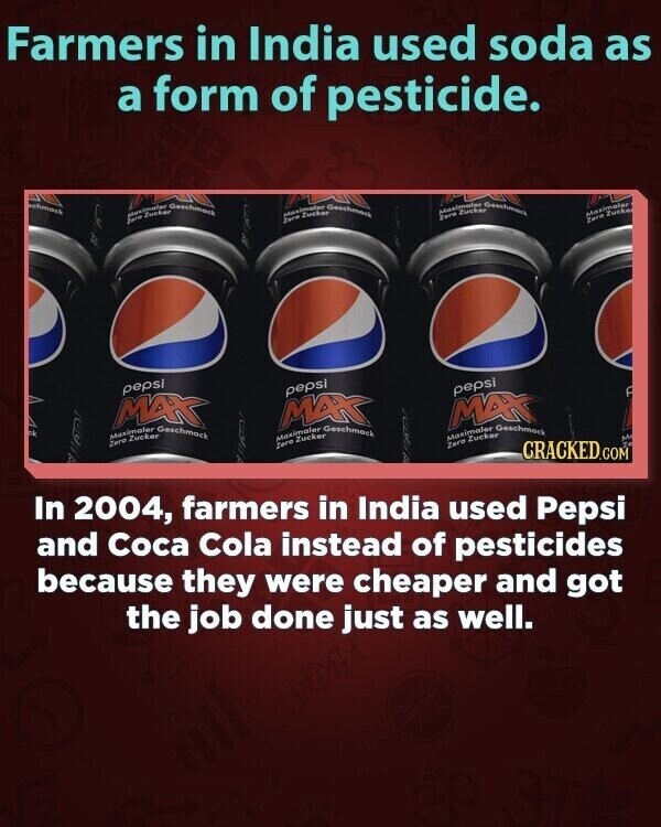 Farmers in India used soda as a form of pesticide. schmack Geschmack Maximater Zucker Foro Maximalize Zero Zucker Geschmack Maximalar Zero Zucker Geschmack Maximaler Zero Zucker pepsi MAX pepsi Zero Maximaler Zucker Geschmack MAX pepsi Maximaler Zero Zucker Geschmack MAX C Maximaler Zero Zucker Geschmack In 2004, farmers in India used Pepsi CRACKED.COM M and Coca Cola instead of pesticides because they were cheaper and got the job done just as well.