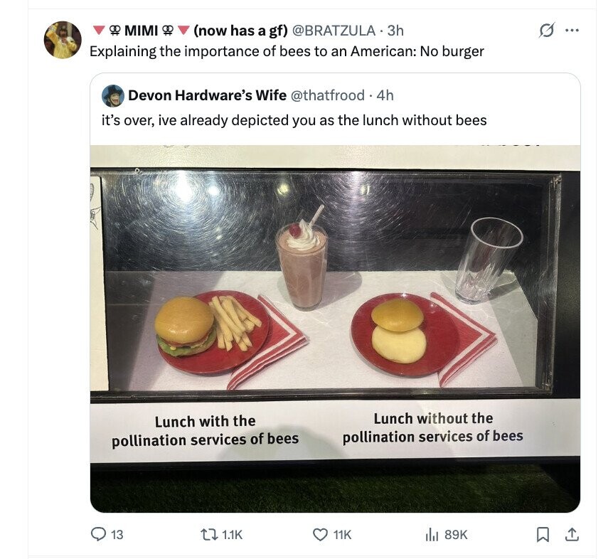 81 MIMI G ... (now has a gf) @BRATZULA . 3h Explaining the importance of bees to an American: No burger Devon Hardware's Wife @thatfrood 144 it's over, ive already depicted you as the lunch without bees Lunch without the Lunch with the pollination services of bees pollination services of bees 13 1.1K 11K 89K 
