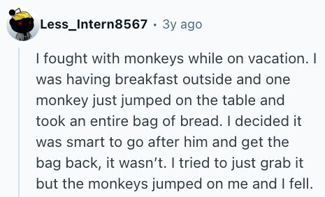 Less_Intern8567 . 3 Зу ago I fought with monkeys while on vacation. I was having breakfast outside and one monkey just jumped on the table and took an entire bag of bread. I decided it was smart to go after him and get the bag back, it wasn't. I tried to just grab it but the monkeys jumped on me and I fell. 