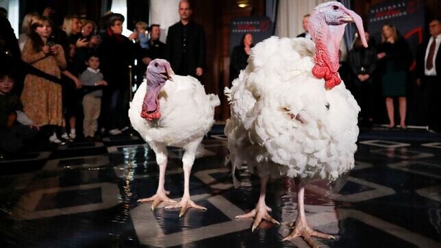 White House Turkeys Spying on Government Activity