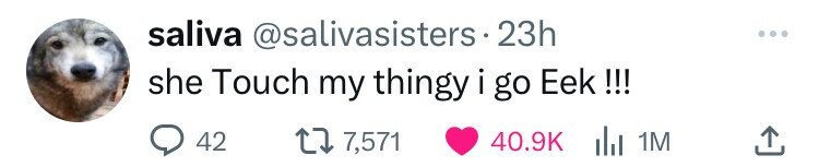 saliva @salivasisters• . 23h she Touch my thingy i go Eek!!! 42 7,571 40.9K del 1M