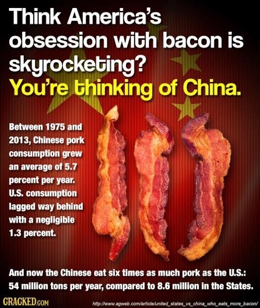 Think America's obsession with bacon is skyrocketing? You're thinking of China. Between 1975 and 2013, Chinese pork consumption grew an average of 5.7 percent per year. U.S. consumption lagged way behind with a negligible 1.3 percent. And now the Chinese eat six times as much pork as the U.S.: 54 million tons per year, compared to 8.6 million in the States. CRACKED.COM http://www.agweb.com/article/united_states_vs_china_who_eats_more_bacon/