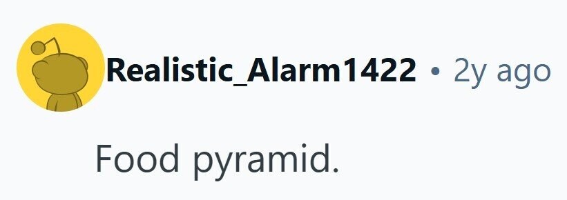Realistic_Alarm1422 . 2y ago Food pyramid. 