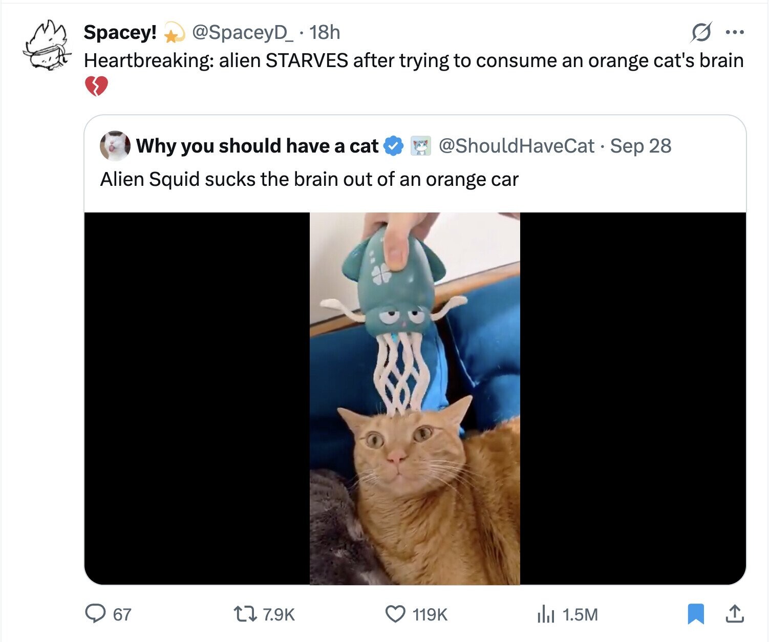 Spacey! @SpaceyD_ 18h ... Heartbreaking: alien STARVES after trying to consume an orange cat's brain @ShouldHaveCat Sep 28 Why you should have a cat Alien Squid sucks the brain out of an orange car 67 7.9K 119K del 1.5M 