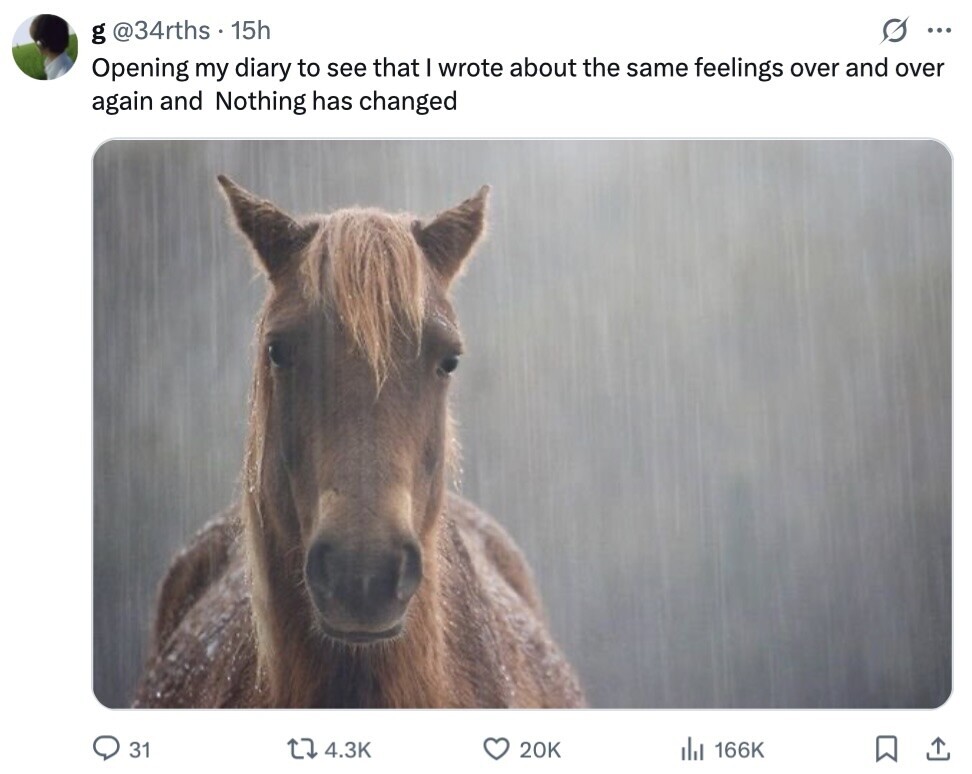 g @34rths 15h ... Opening my diary to see that I wrote about the same feelings over and over again and Nothing has changed 31 4.3K 20K del 166K