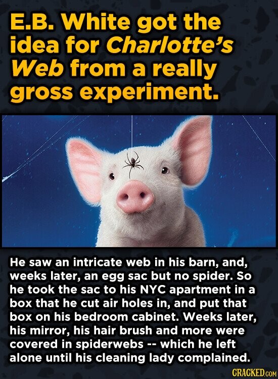 E.B. White got the idea for Charlotte's Web from a really gross experiment. He saw an intricate web in his barn, and, weeks later, an egg sac but no spider. So he took the sac to his NYC apartment in a box that he cut air holes in, and put