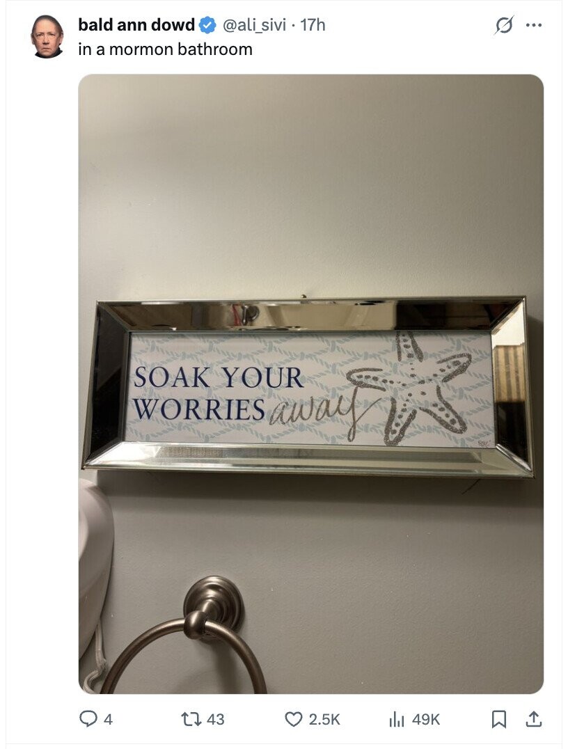 bald ann dowd @ali_sivi . 17h s ... in a mormon bathroom SOAK YOUR WORRIES away 4 43 2.5K 49K