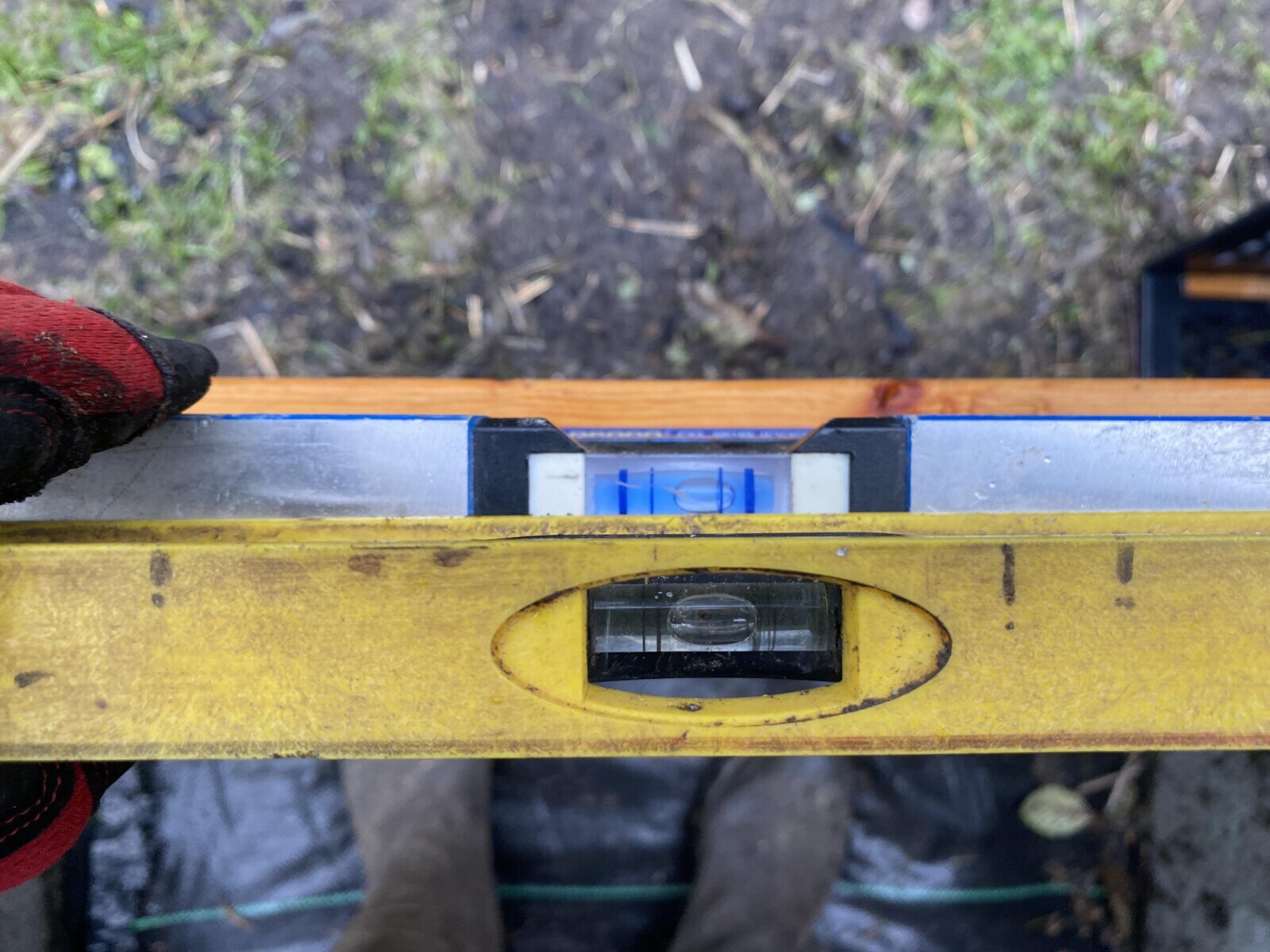 Tk Images Where it's 'Game Over' for Common Sense