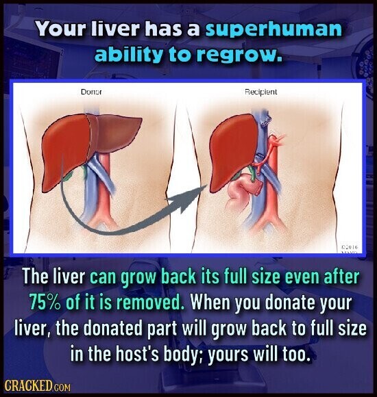 Your liver has a superhuman ability to regrow. Donor Recipient ©2016 The liver can grow back its full size even after 75% of it is removed. When you donate your liver, the donated part will grow back to full size in the host's body; yours will too. CRACKED.COM