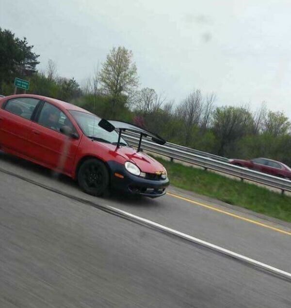 Photos Where Common Sense Took an Early Check-Out