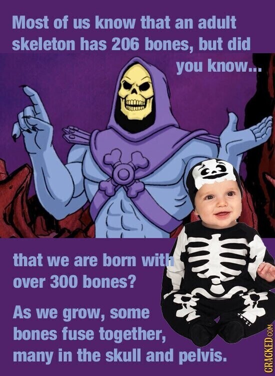 Most of us know that an adult skeleton has 206 bones, but did you know... that we are born with over 300 bones? As we grow, some bones fuse together, many in the skull and pelvis. CRACKED COM