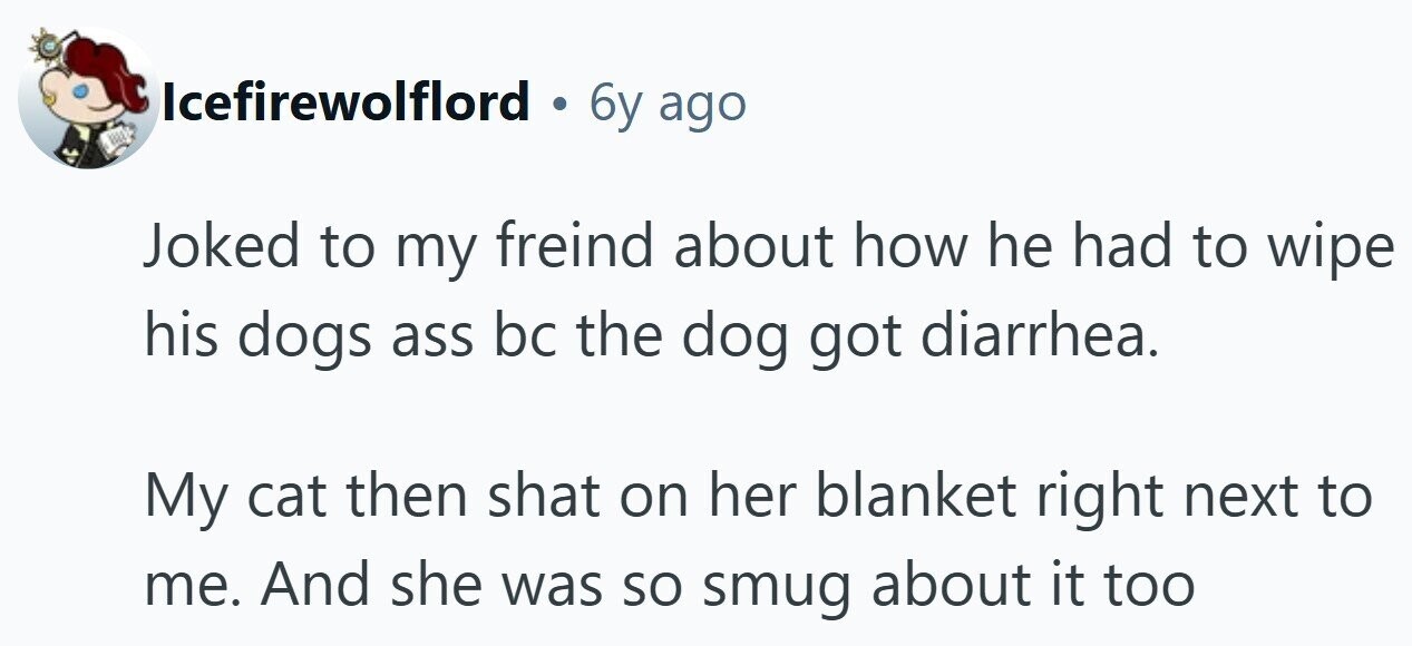 Icefirewolflord . 6y ago Joked to my freind about how he had to wipe his dogs ass bc the dog got diarrhea. My cat then shat on her blanket right next to me. And she was so smug about it too