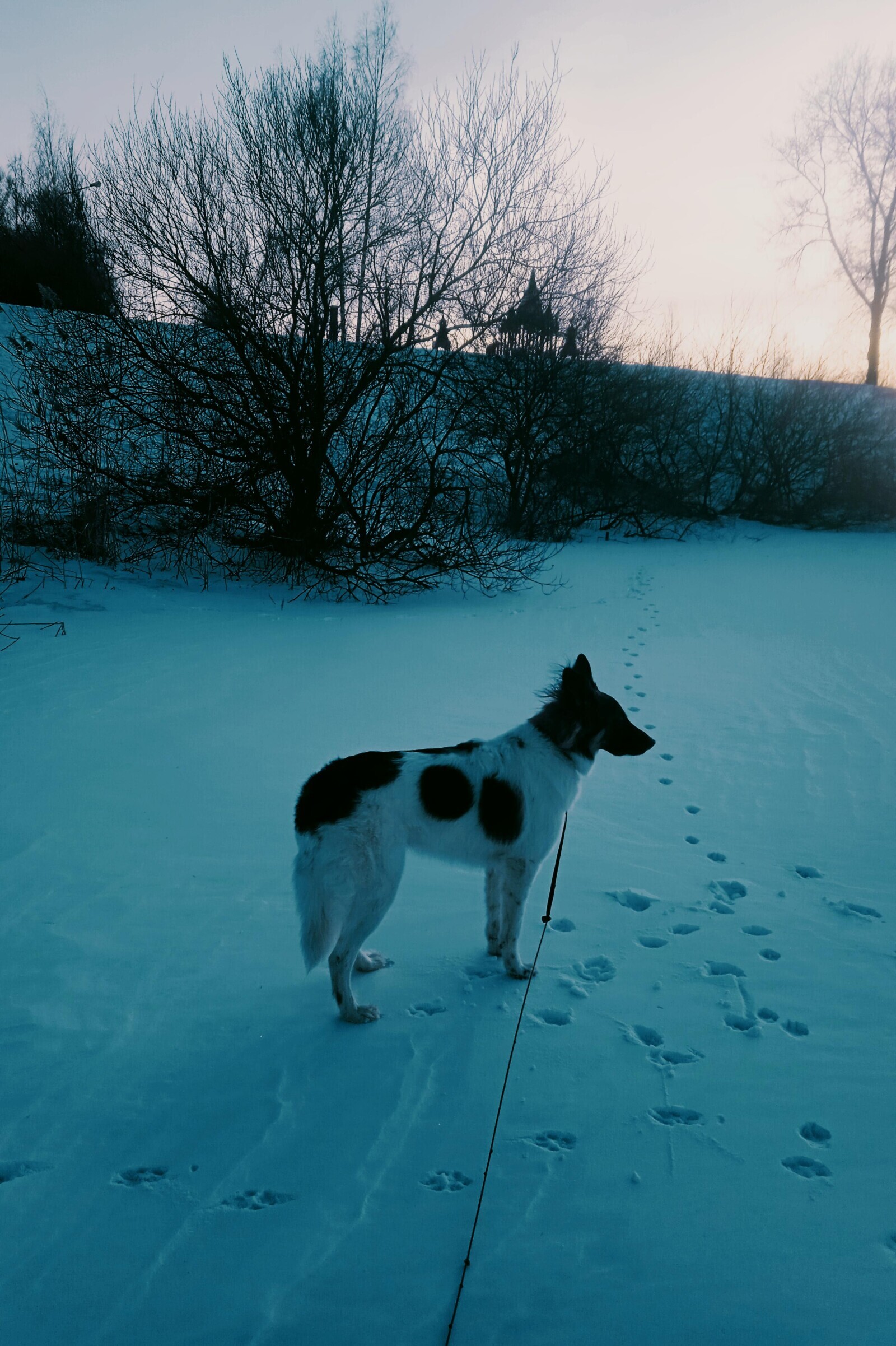Photos of What Real Winter Looks Like in Soviet Russia