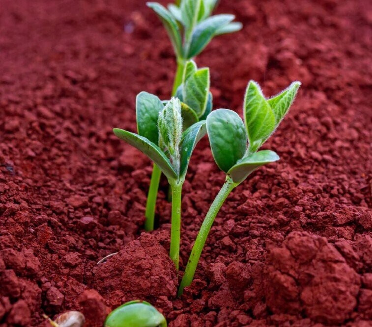 Images Showing What Colonizing Mars Might Look Like