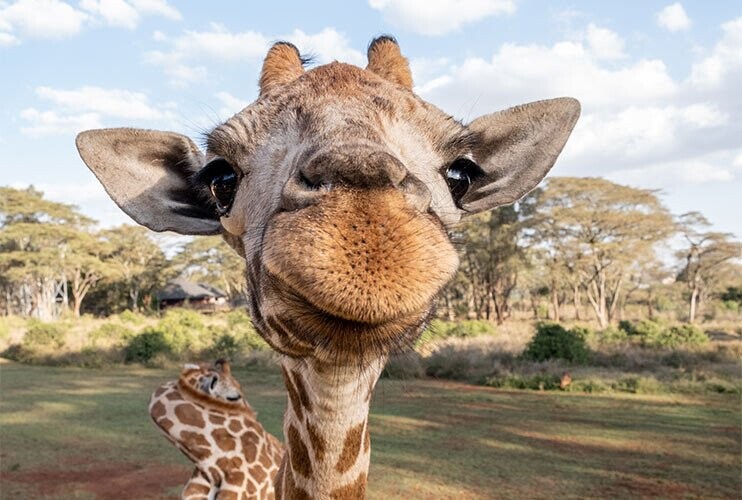 20 Counterintuitive Facts To Cook Your Noodle