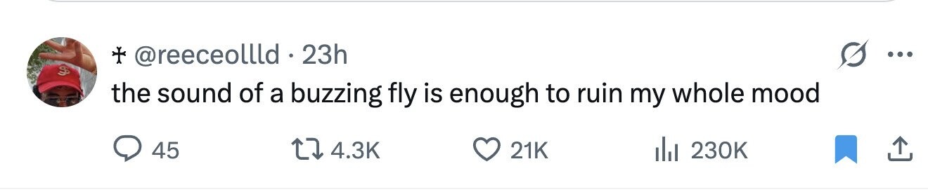 + @reeceollld . 23h ... the sound of a buzzing fly is enough to ruin my whole mood 45 4.3K 21K 230K 