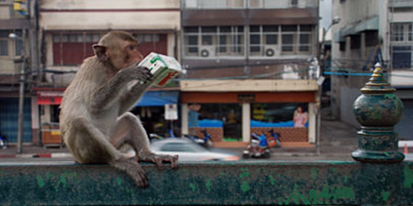 12 Trivia Tidbits for Friday, April 5, 2024