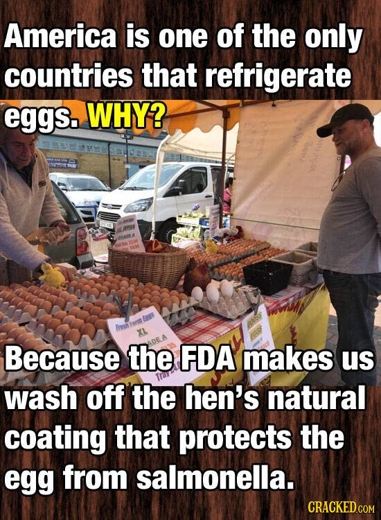 America is one of the only countries that refrigerate eggs. WHY? ASABE A EN on 1234 be 1450 Because the FDA makes HOT anca us Fresh Form Eggs XL GOOSS ADE A EGGS wash off the hen's natural Tras coating that protects the egg from salmonella. CRACKED.COM