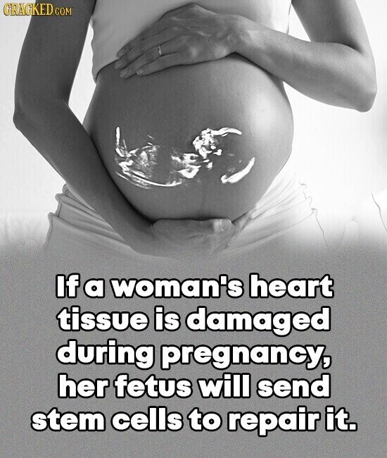 GRAGKED COM If a woman's heart tissue is damaged during pregnancy, her fetus will send stem cells to repair it.