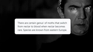 32 Mythical Creatures That Historians Believe Are Based in Reality