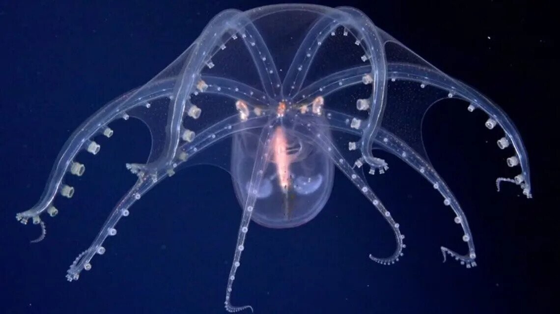 20 Counterintuitive Facts To Cook Your Noodle