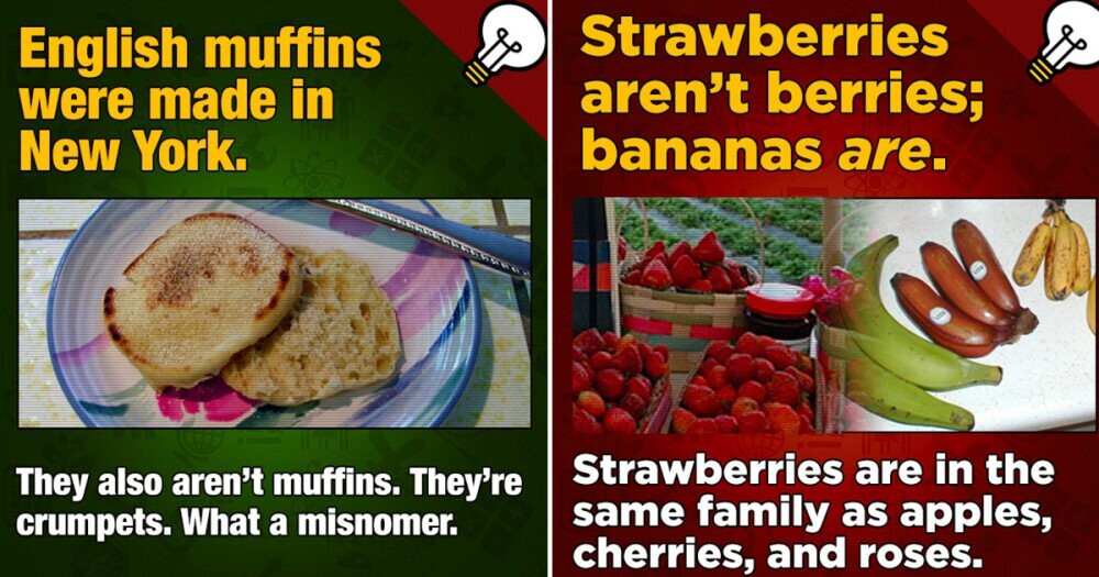 32 Bizarre Facts About the Food Industry