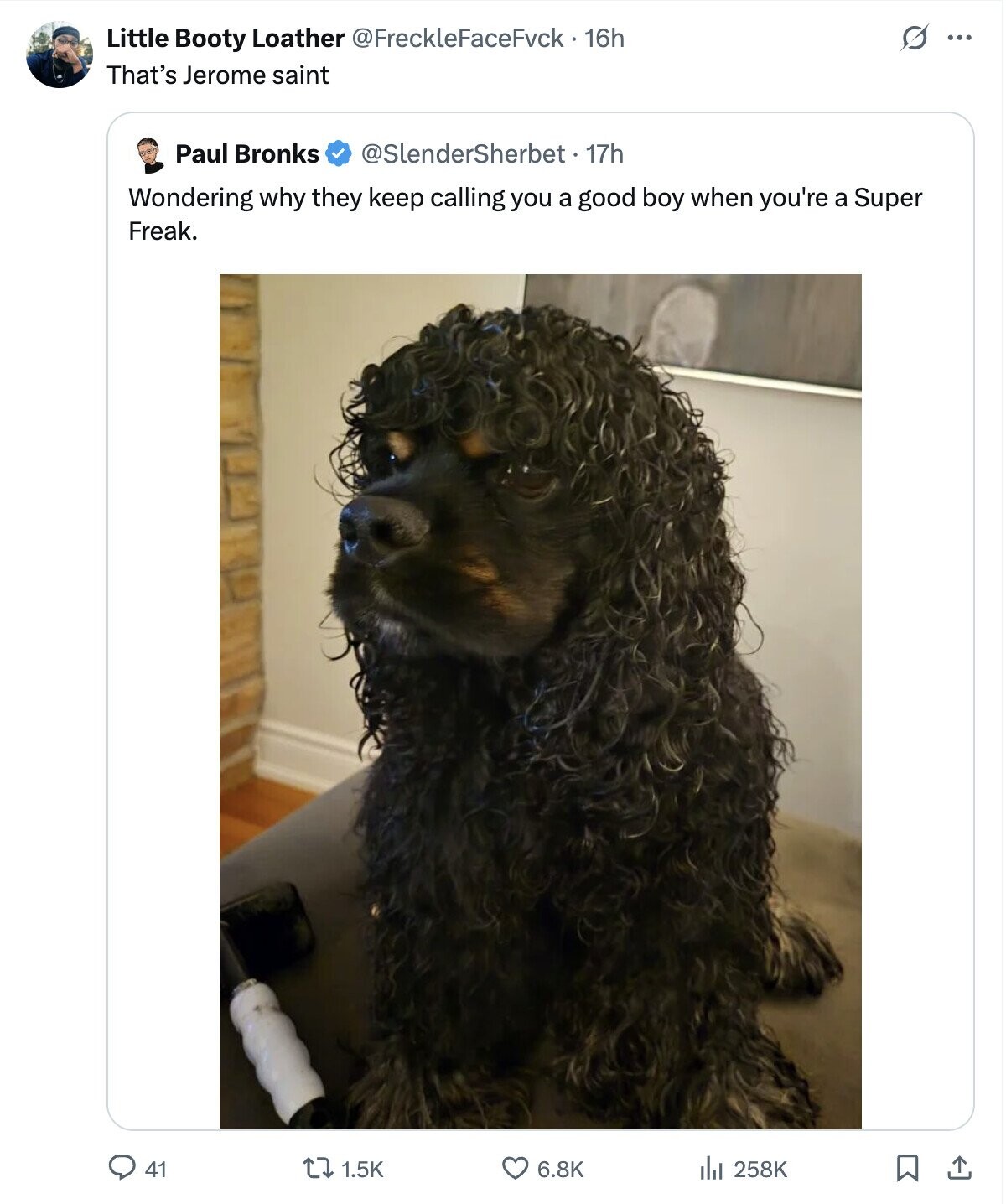 Little Booty Loather @FreckleFaceFvck . 16h ... That's Jerome saint Paul Bronks @SlenderSherbet - 17h Wondering why they keep calling you a good boy when you're a Super Freak. 41 1.5K 6.8K 258K