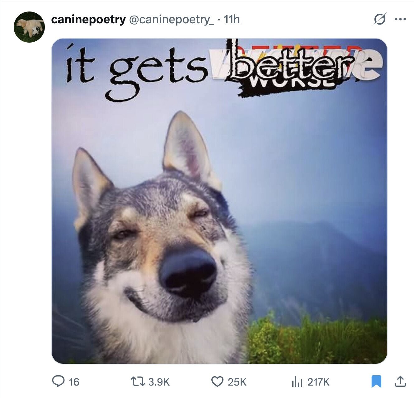 S caninepoetry @caninepoetry_ 11h ... it gets bettere 16 3.9K 25K 217K 