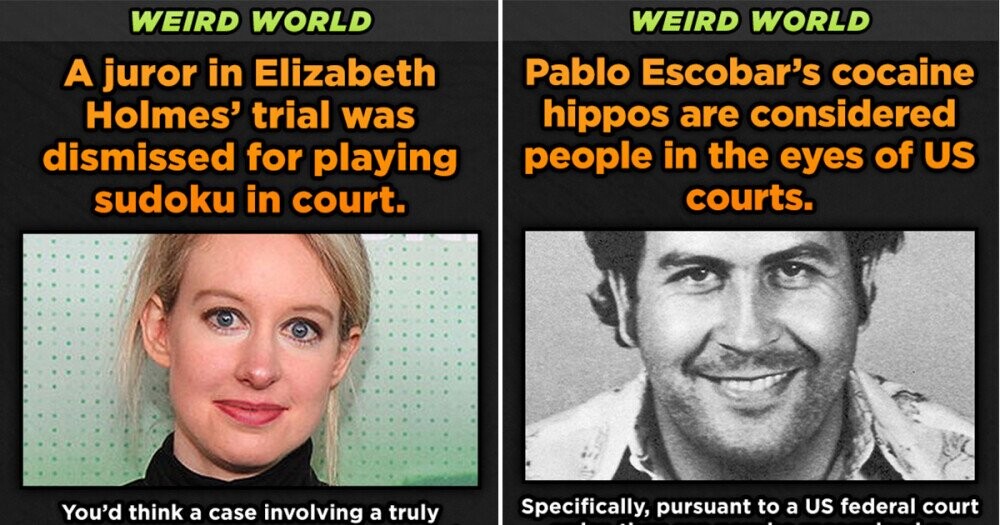 Weird World: 12 Strange Events That, Despite All Odds, Somehow Happened