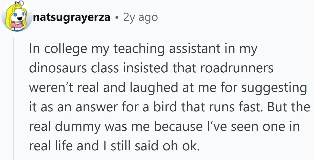 natsugrayerza . 2y ago In college my teaching assistant in my dinosaurs class insisted that roadrunners weren't real and laughed at me for suggesting it as an answer for a bird that runs fast. But the real dummy was me because I've seen one in real life and I still said oh ok.