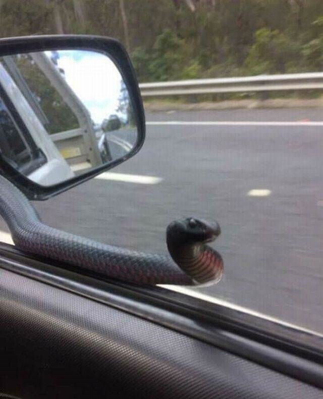 Photos Where Common Sense Took an Early Check-Out