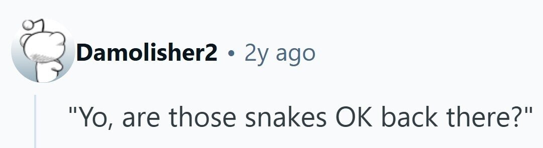 Damolisher2 . 2y ago Yo, are those snakes OK back there?