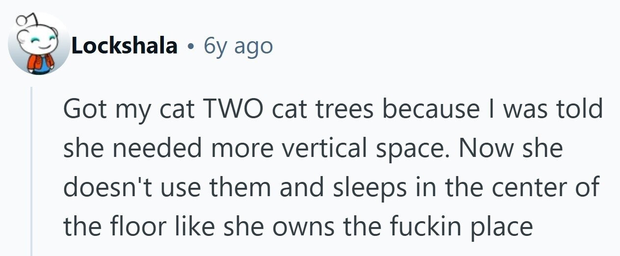 Lockshala . 6y ago Got my cat TWO cat trees because | was told she needed more vertical space. Now she doesn't use them and sleeps in the center of the floor like she owns the fuckin place