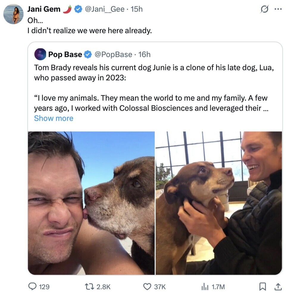 Jani Gem @Jani_Gee. 15h G ... Oh... I didn't realize we were here already. Pop Base @PopBase 16h Tom Brady reveals his current dog Junie is a clone of his late dog, Lua, who passed away in 2023: I love my animals. They mean the world to me and my family. A few years ago, I worked with Colossal Biosciences and leveraged their ... Show more 129 2.8K 37K del 1.7M