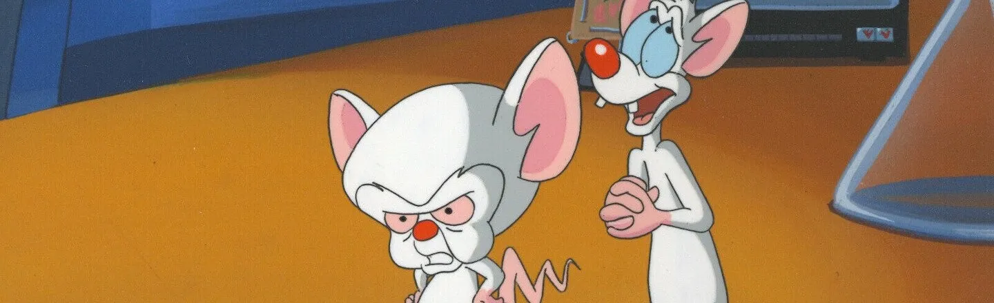 15 Pearls of Wisdom from Pinky and the Brain