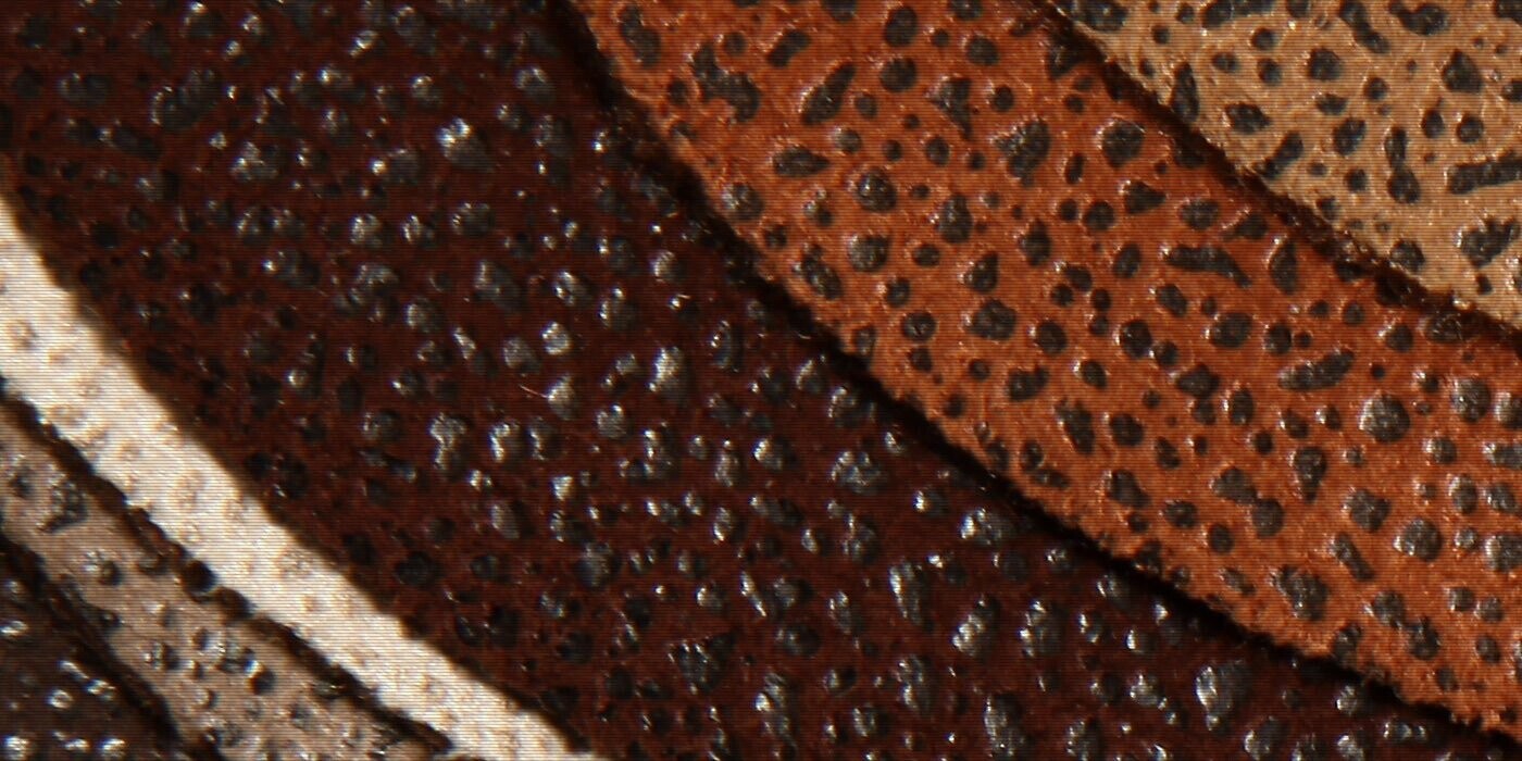 12 Trivia Tidbits for Friday, April 5, 2024