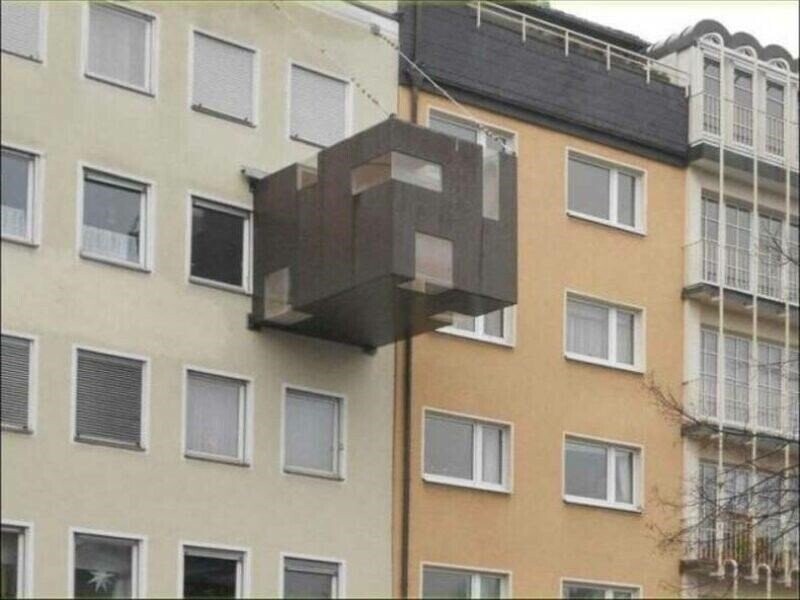 Photos from the Halls of the Smithsonian Of Stupidity