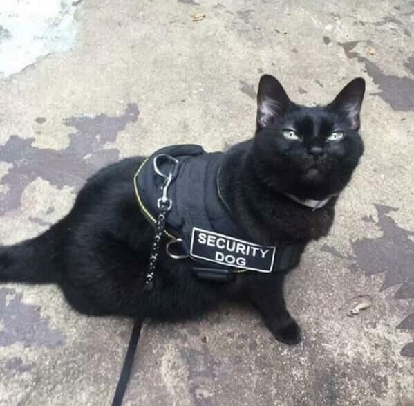 Photos Where No One Cared Enough to Make Things Right