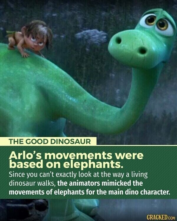 THE GOOD DINOSAUR Arlo's movements were based on elephants. Since you can't exactly look at the way a living dinosaur walks, the animators mimicked the movements of elephants for the main dino character. CRACKED.COM