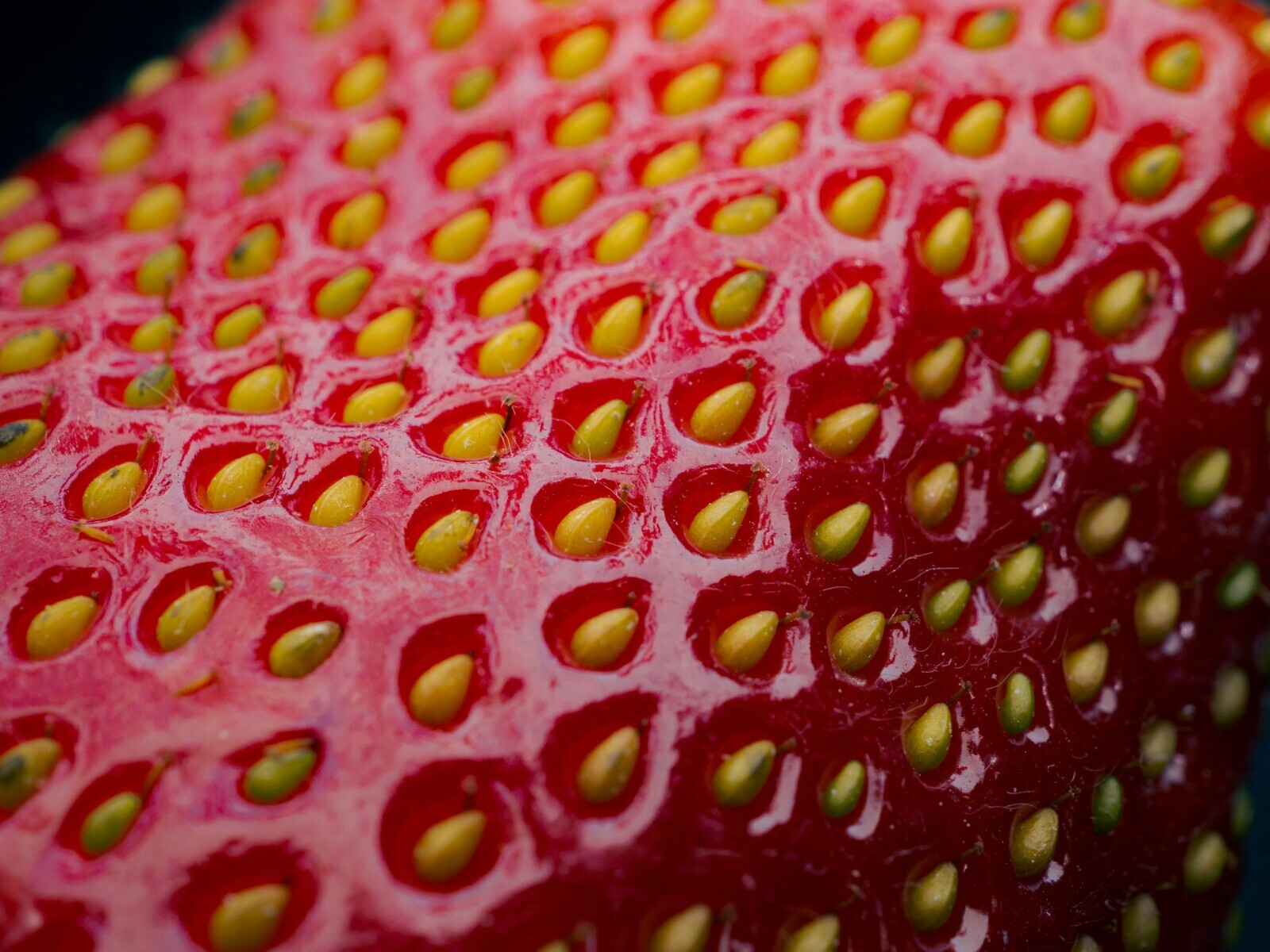 20 Counterintuitive Facts To Cook Your Noodle