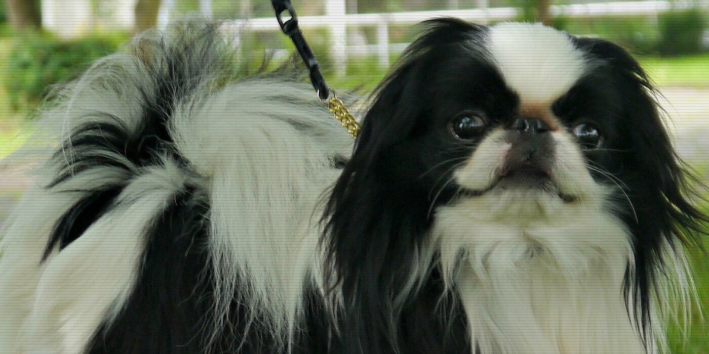 12 Trivia Tidbits for Friday, April 5, 2024