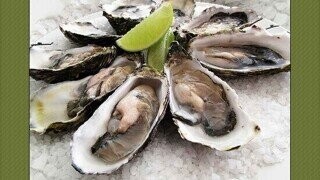 40 Super Gross Facts About the Food Industry