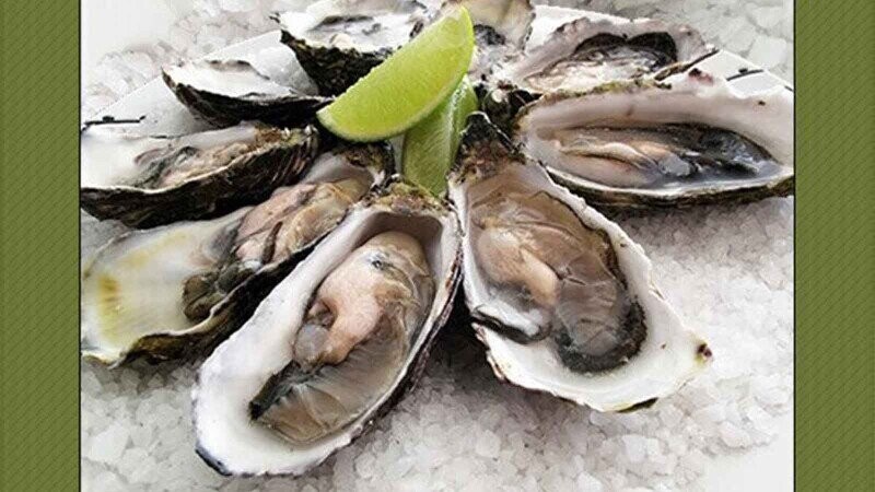 40 Super Gross Facts About the Food Industry