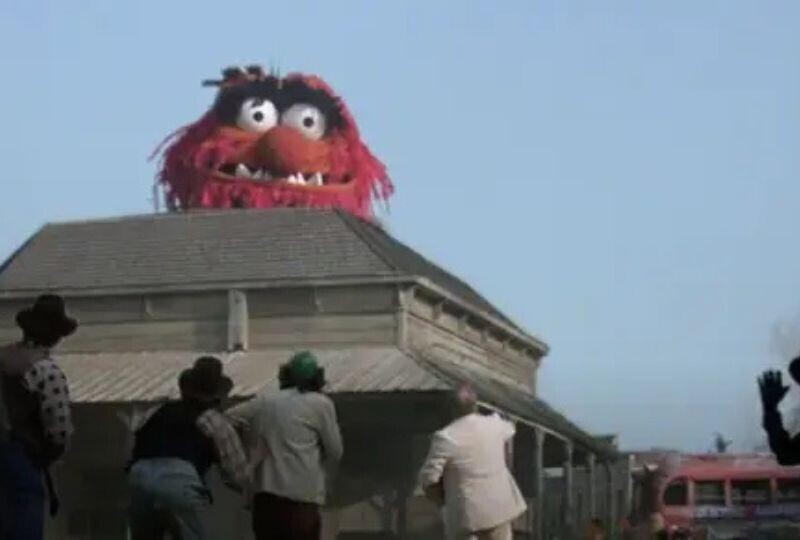 15 Wild Facts About The Muppets, Now That They’re Officially Back ...