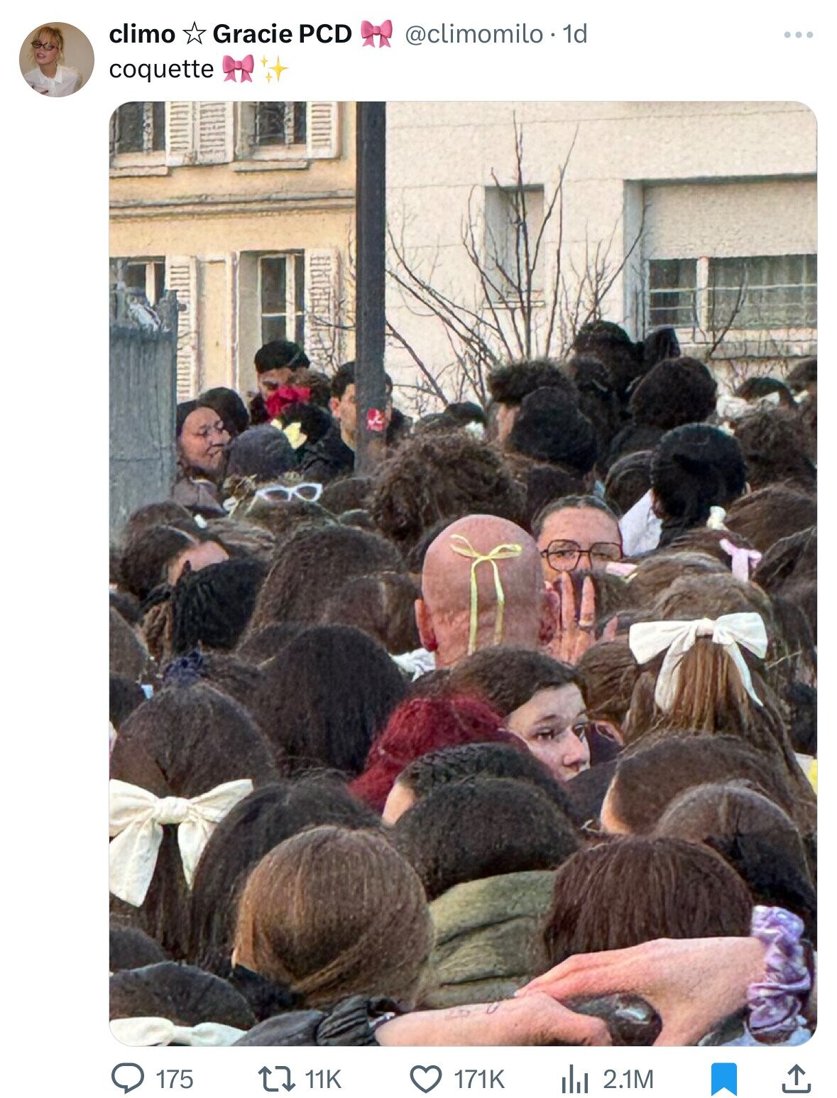 climo Gracie PCD @climomilo . 1d ... coquette 175 11K 171K 2.1M 