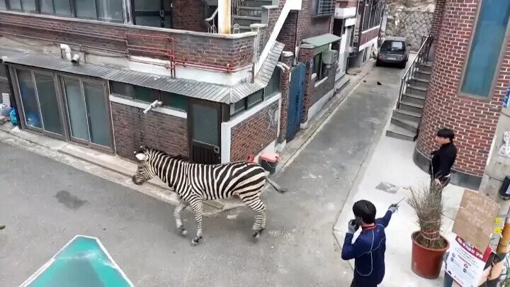 Historical Moments Straight Out Of Looney Tunes