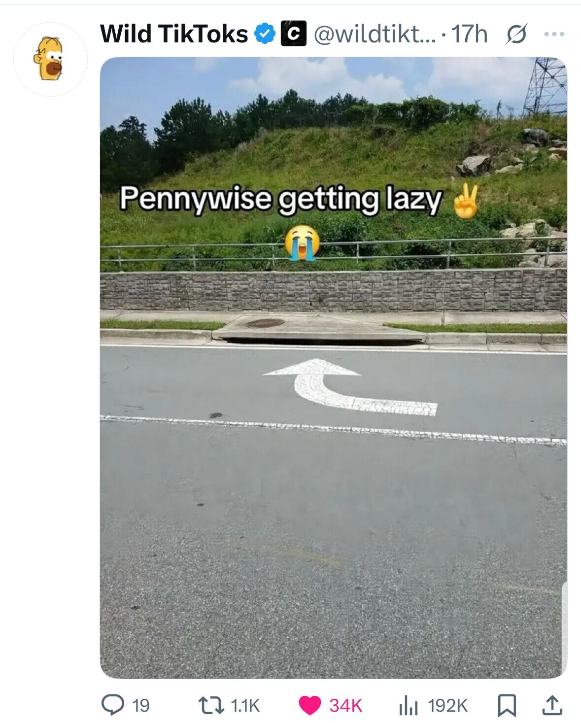 Wild TikToks с @wildtikt... ..17h s ... Pennywise getting lazy 1.1K 34K 19 192K 