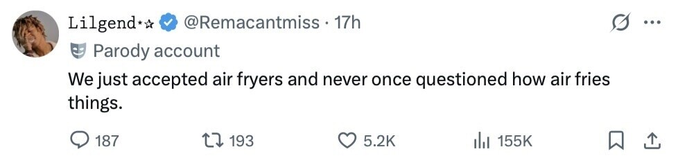 @Remacantmiss 17h Lilgend ... Parody account We just accepted air fryers and never once questioned how air fries things. 187 193 5.2K 155K