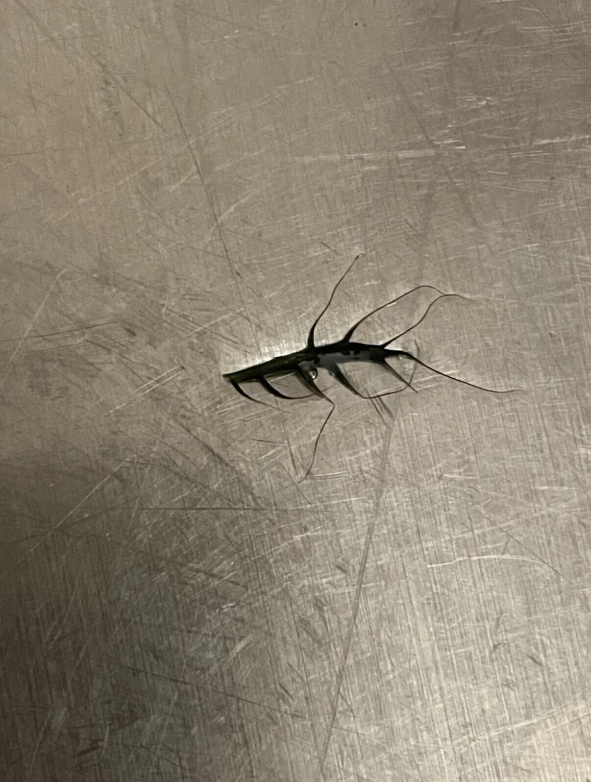 20 Interesting Yet Confusing Perspectives