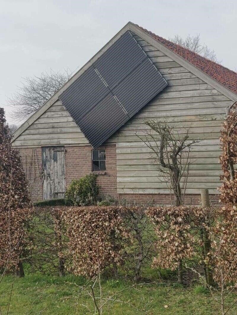 Photos from the Halls of the Smithsonian Of Stupidity